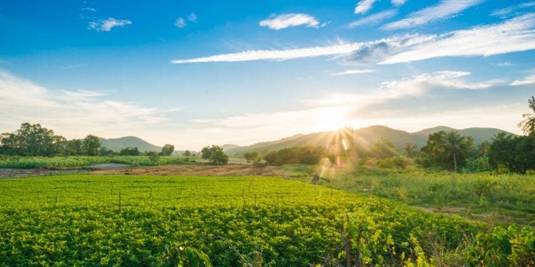 Todd Taylor Joins American Biogas Council