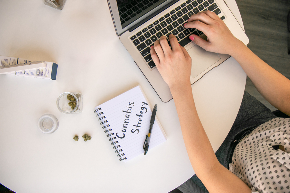 Employment lawyer - Avisen legal