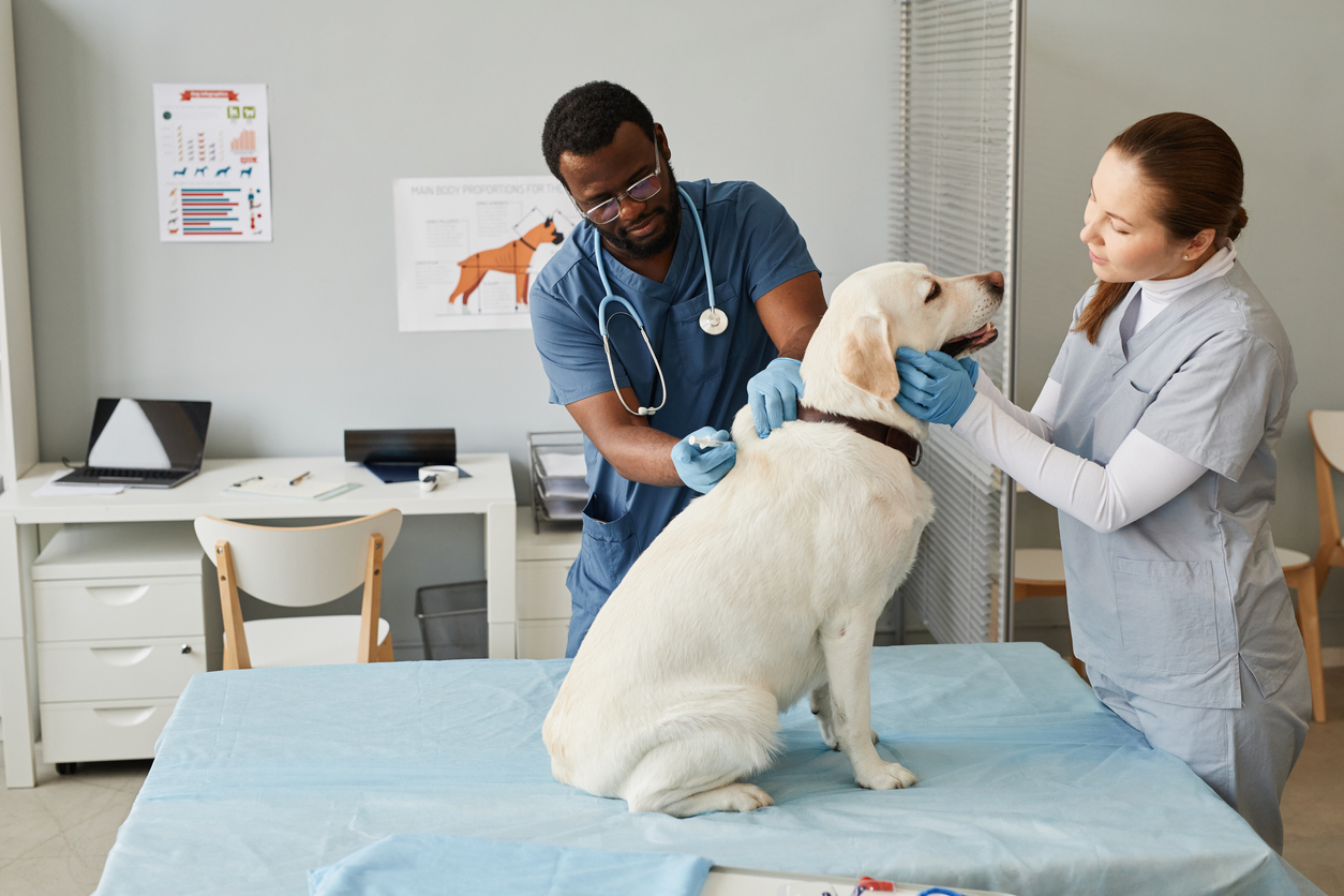 veterinary practices - avisen legal