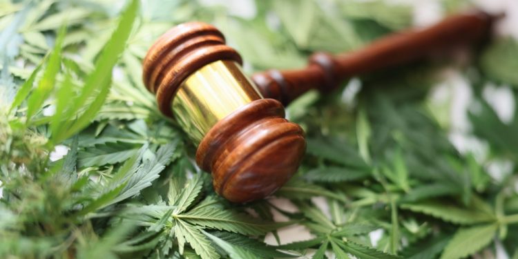 The Legalization of Cannabis: Navigating the New Landscape of Workplace Drug Screening