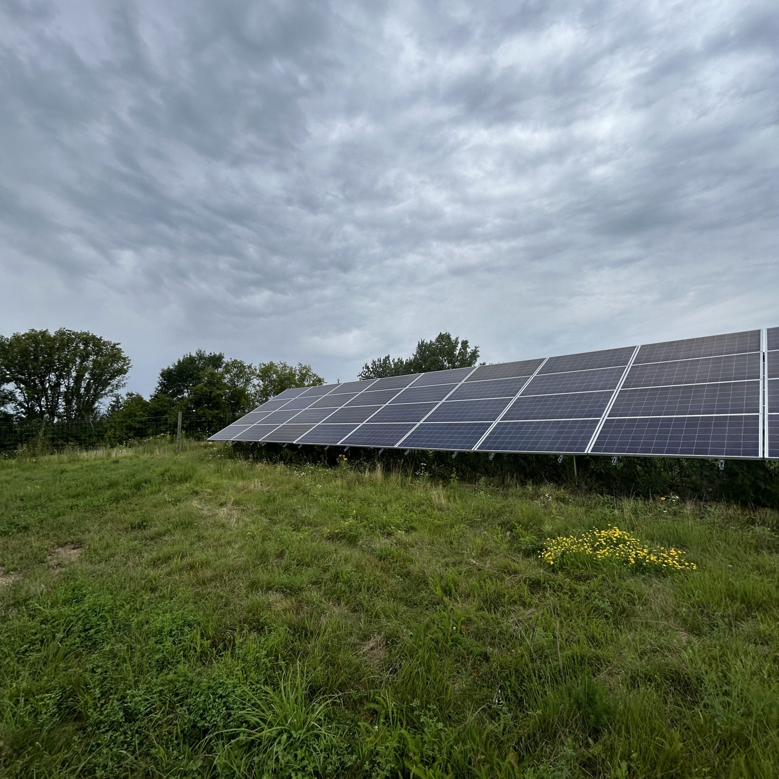 a large solar panel sitting on top of a lush green field - Cooperative energy futures 